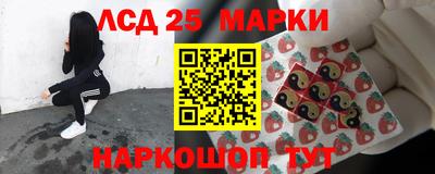 СК Обь
