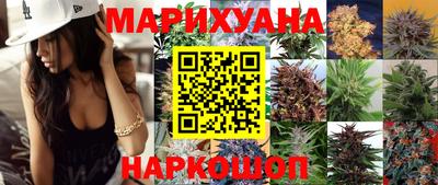 СК Обь
